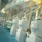 Auto Rice milling Machinery