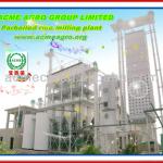 AUTO modern Parboiled Rice Milling Plant