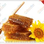 SA-YS Honey Extractor-