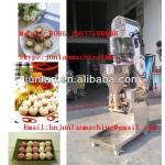 meatball former machine for food processing-