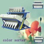 CCD rice color sorter sortex machine, wheat sorting machine, grain sorting machine