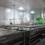 tunnel pasteurizer-