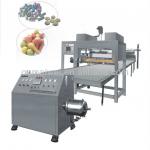OMW-300MH Marshmallow Production Line-