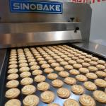 Full automatic wire cut and depositor cookie machine