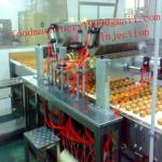 CE approved full automatic cup cake production line