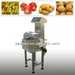 High-performance Check Weigher for 10g~200g High-performance