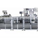 DDP-250 capsule blister packing machine