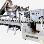 LPKB22A-BQ Syringe fully automatic packing machine