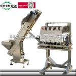 Supply Automatic Capping Machine