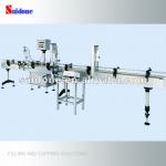 Automatic Filling and Capping Line (Basic Model)