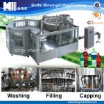 Automatic Carbonated Water/Beverage Bottle Filling Packing Machine/Line