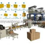 carton packing machine for bags and box
