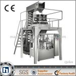 2013 NEW GD Series Pouch packing machine