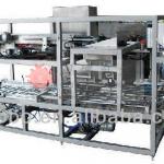 Automatic Packing Machine for Soft Bag of Milk