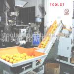 multi-function utomatic fruit packing machine TPY-388F