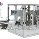 Standup pouch packaging machine CYGD-220(For granule liquid)