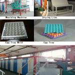 egg tray machine factory