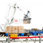 palletizer and case packer