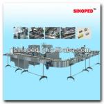 Automatic Vial Packing Production Line(for ten pieces)