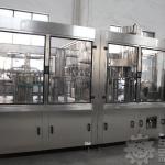 Accurate stainless steel Mineral water filling plants