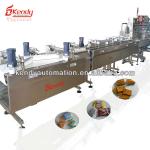 KD-S automatic and high speed packing line for chocolate