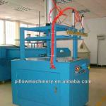 LION Vacuum Pillow Packing Machine with CE
