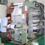 Six colors flexographic printing machine