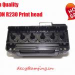 100% Brandnew Print head R230 for Epson r230 print head