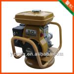 Petrol Concrete Vibrator-