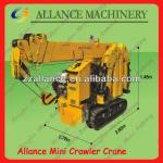 30 Mini Crawler Type Mobile Crane For Sale