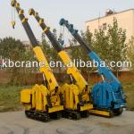 2012 Best Mini Crane(3ton)