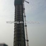 TC5610 Tower Crane