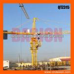 QTZ315 Industrial tower crane prices-