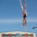 QTD300 16T Self-erecting Luffing Tower Crane