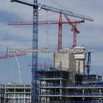 New Competitive Tower Crane 7010