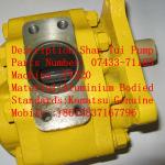 Shan Tui bulldozer Pump