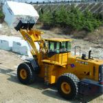 25tons WEILI brand quarry forklift loader
