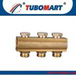 Manifold