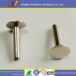 Aluminium Blind Rivets Plated Zn