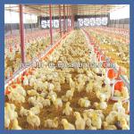High quality automatic Chinese Cheap Industrial Chicken Coops for sale