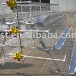 Layer Chicken cage of poultry equipment