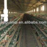chicken cage for sale/chicken farm/chicken cage system
