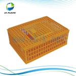 Plastic Poultry Transport crate