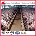 livestock equipment galvanized steel pipe gestation stall