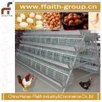 FFaith-group good quality poultry equipment 008613938486709