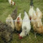 chicken raising mesh chicken cage