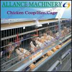 52 Chicken Egg Layer Cages Of Poultry Farm Cages
