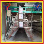 2013 Hot-sale!A H type poultry cage for farm(21years factory)