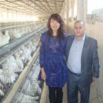 Chicken Cage ( Professional Manufacturers welcome to visit our abroad farm sample )