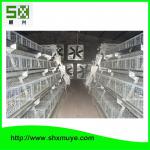 9TLXY 4240 4 tier A Type Baby Chicken farm poultry equipment for sale